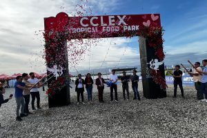 C:\Users\GCPI-ROBBY\Desktop\MINERVA STOCK ARTICLE\1.JPG