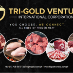C:\Users\GCPI-ROBBY\Desktop\MINERVA STOCK ARTICLE\PR 38 - TRIGOLD VENTURE\Screenshot 2023-05-16 082058.png