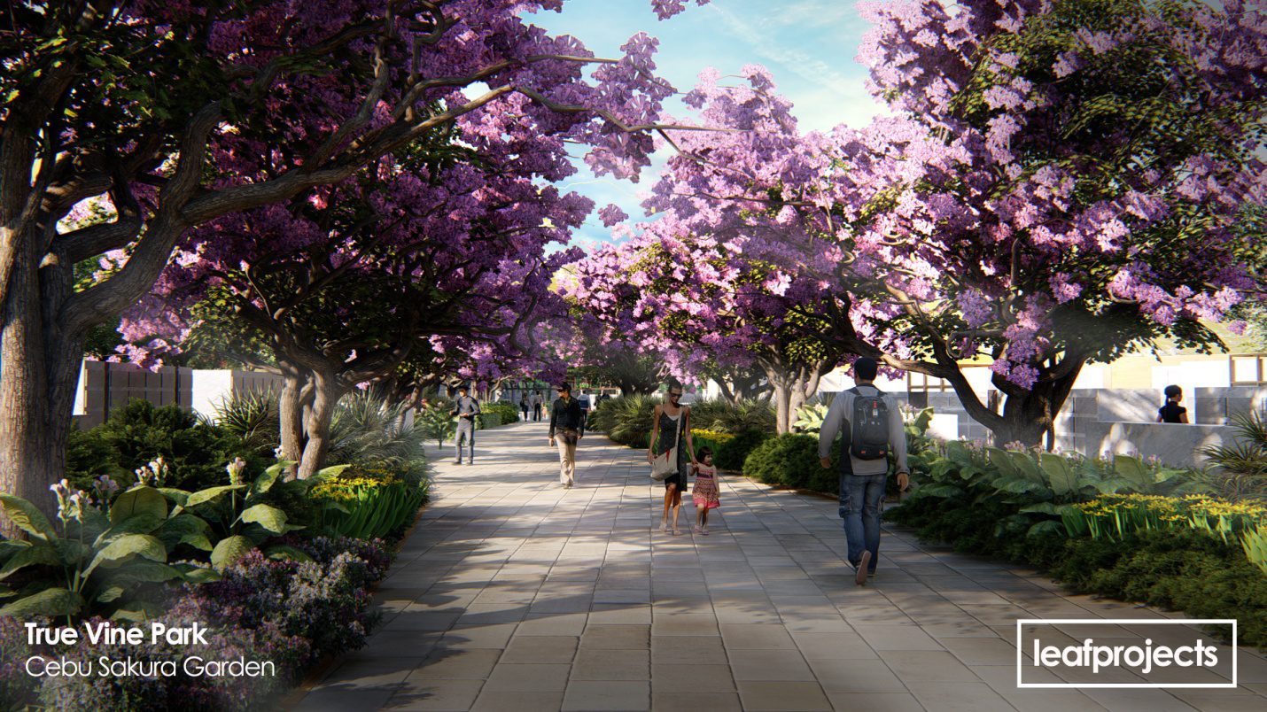 C:\Users\GCPI-ROBBY\Desktop\PRS\TRUE VINE\Sakura,main Avenue.jpg