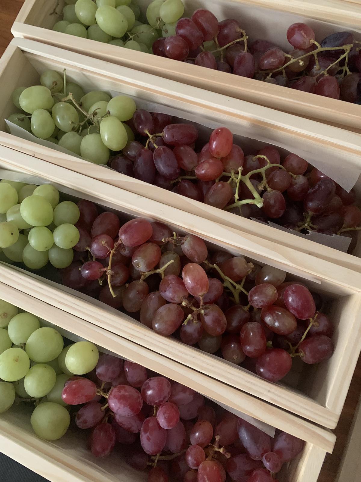 C:\Users\GCPI-ROBBY\Desktop\PR 2024\7.jpg