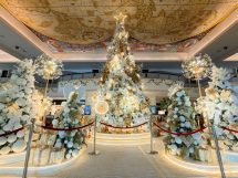 IMG_20251111_103731_122_01_13(1)