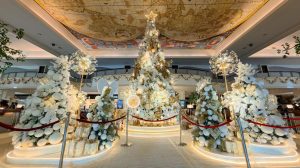 IMG_20251111_103731_122_01_13(1)