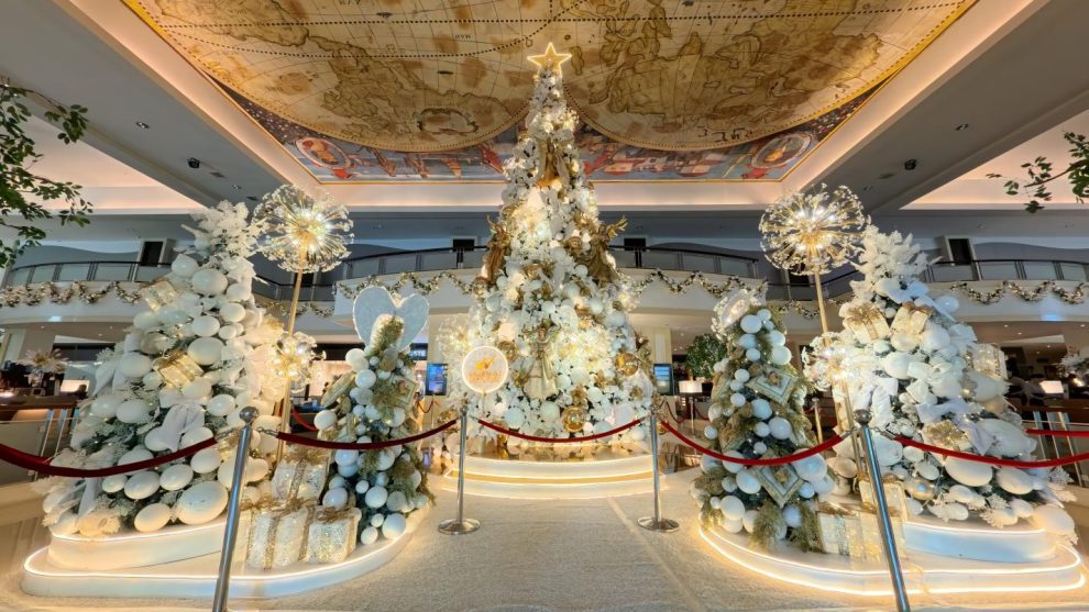 IMG_20251111_103731_122_01_13(1)