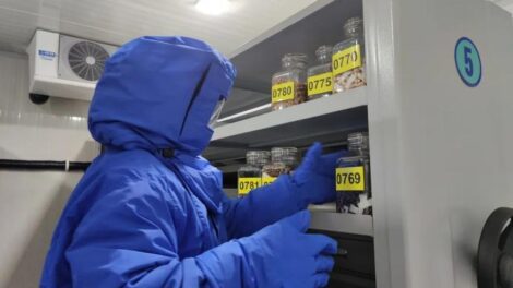 67fe01350998fa85f16e965ca9e43dd9