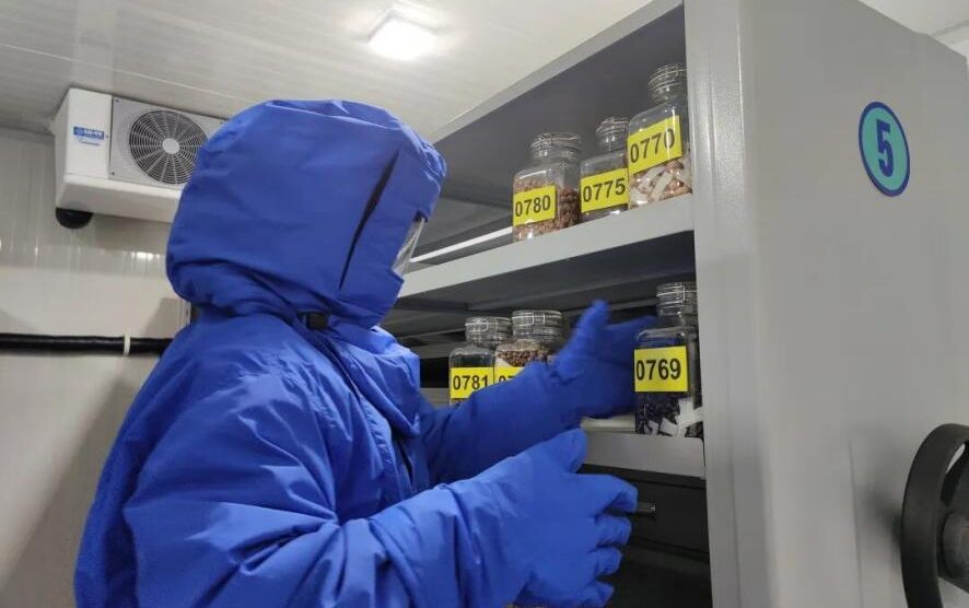 67fe01350998fa85f16e965ca9e43dd9