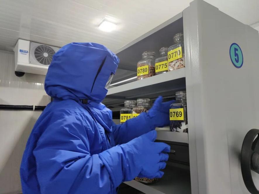 67fe01350998fa85f16e965ca9e43dd9