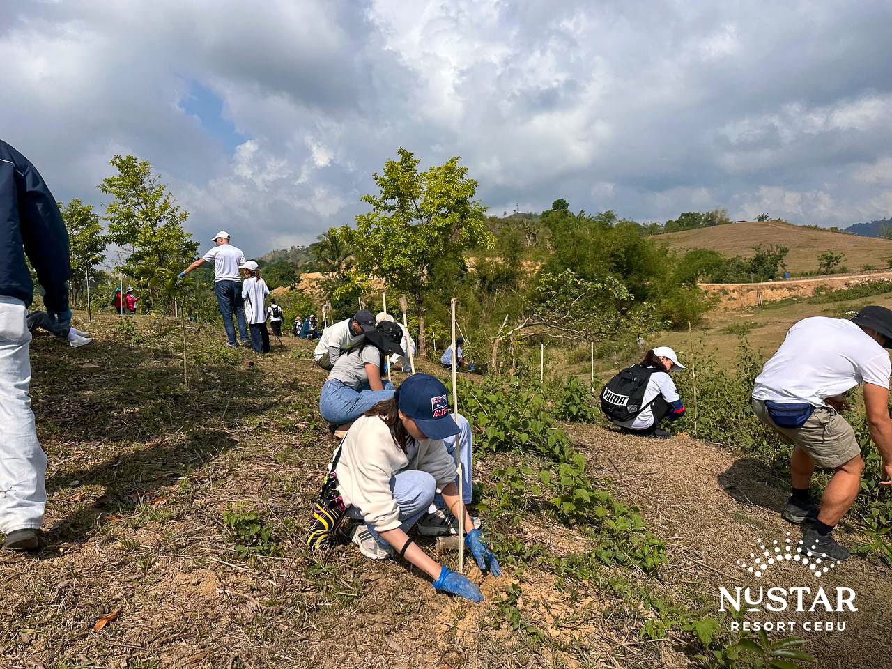 Tree Planting 2