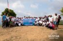 Tree Planting 3