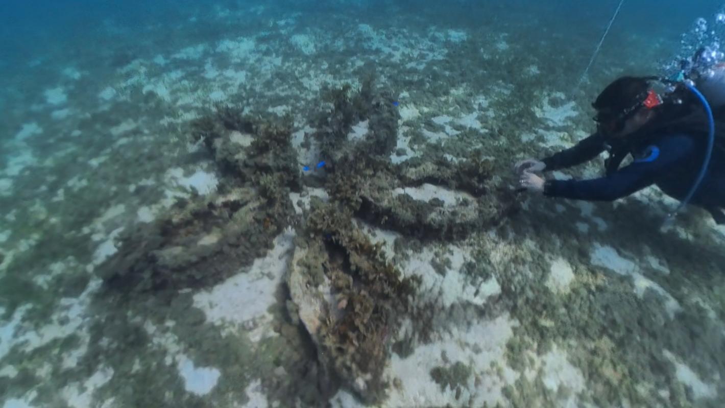 Photo 4 - Atong Dagat